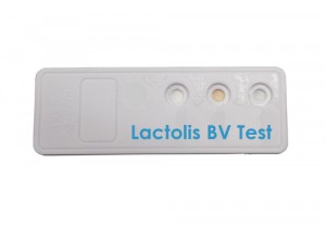 lactolis-bv-kit